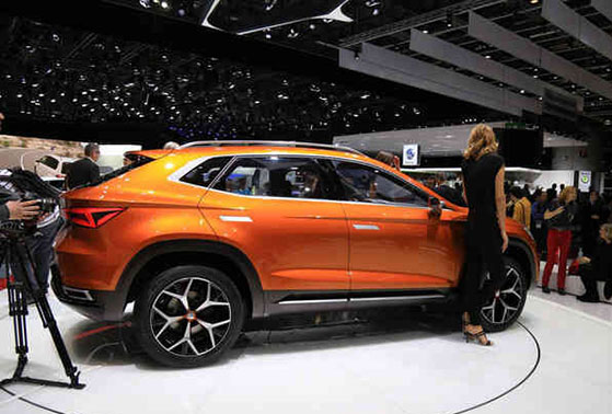 6000480_img_4864.jpg 6000480_img_4864.jpg