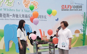 今年車企公益活動依然由國外品牌主導