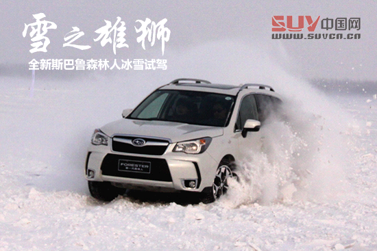 “雪之雄獅”全新斯巴魯森林人冰雪試駕