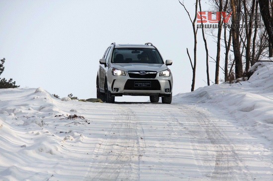 “雪之雄獅”全新斯巴魯森林人冰雪試駕