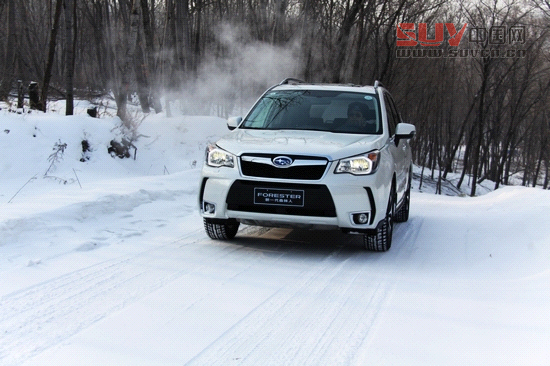 “雪之雄獅”全新斯巴魯森林人冰雪試駕