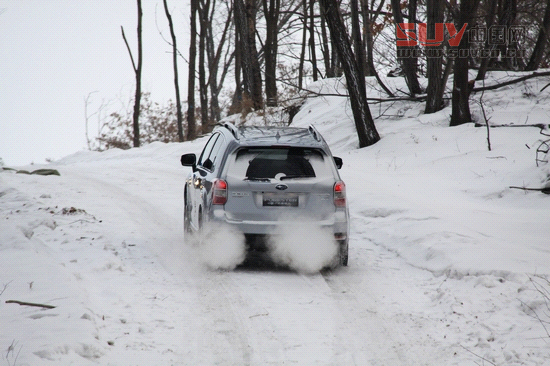 “雪之雄獅”全新斯巴魯森林人冰雪試駕
