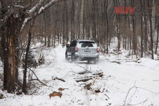 “雪之雄獅”全新斯巴魯森林人冰雪試駕