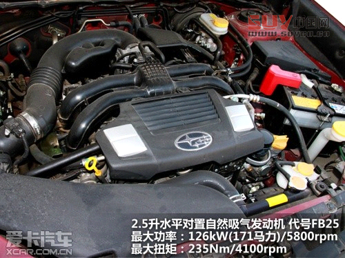 新森林人評測 新森林人評測