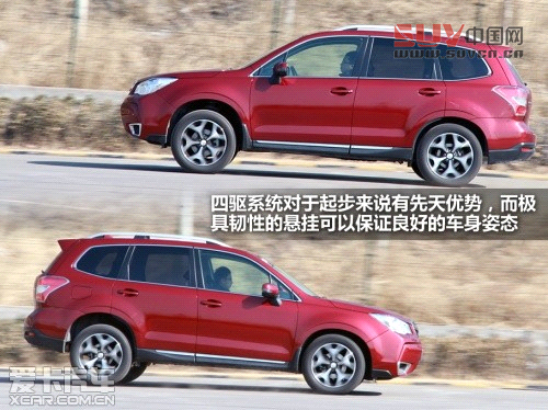 新森林人評測 新森林人評測