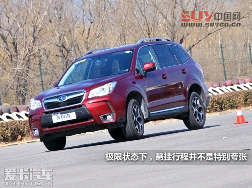 新森林人評測 新森林人評測