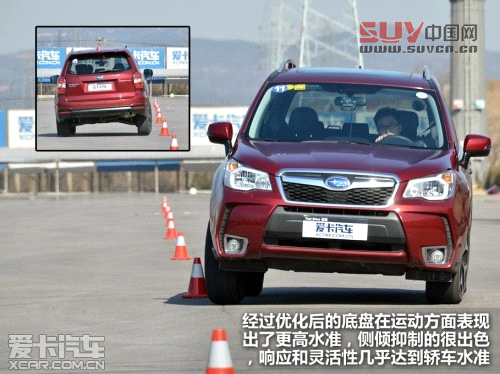 新森林人評測 新森林人評測