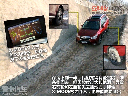 新森林人評測 新森林人評測