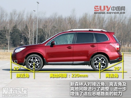 新森林人評測 新森林人評測