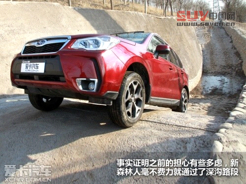 新森林人評測 新森林人評測