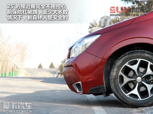 新森林人評測 新森林人評測