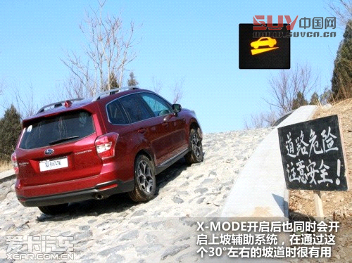 新森林人評測 新森林人評測