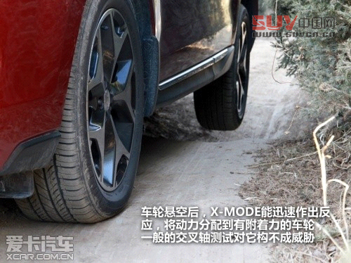 新森林人評測 新森林人評測