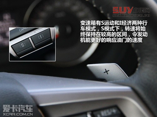 新森林人評測 新森林人評測