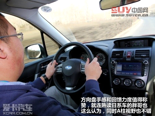 新森林人評測 新森林人評測