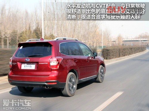 新森林人評測 新森林人評測