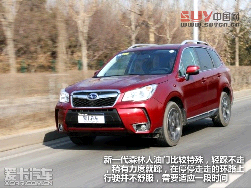 新森林人評測 新森林人評測