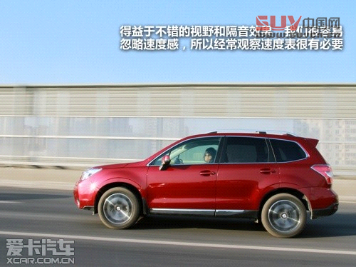 新森林人評測 新森林人評測