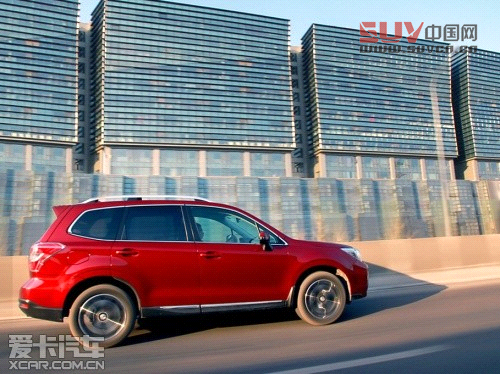 新森林人評測 新森林人評測