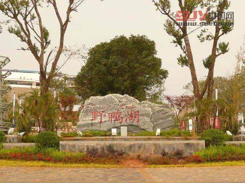 家人一起戶外燒烤 邊吃邊玩邊娛樂