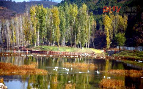 【自駕游】金秋自駕好時(shí)節(jié) 北京周邊自駕游線路精選