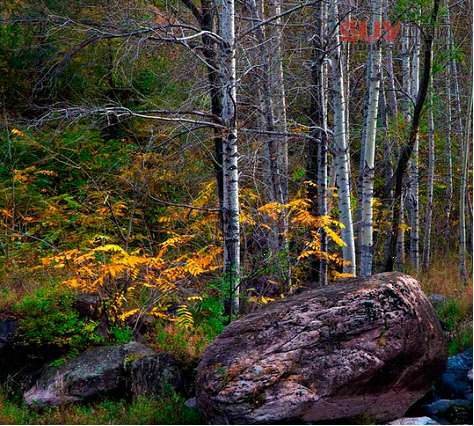 【自駕游】金秋自駕好時(shí)節(jié) 北京周邊自駕游線路精選