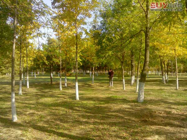 奧林匹克森林公園 秋游攻略推薦