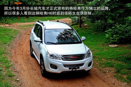哈弗 H6 實(shí)拍 圖解 圖片