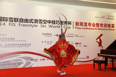 奧迪2013-2014 自由滑雪空中技巧世界杯