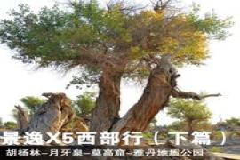 測(cè)試文章相關(guān)鏈接圖