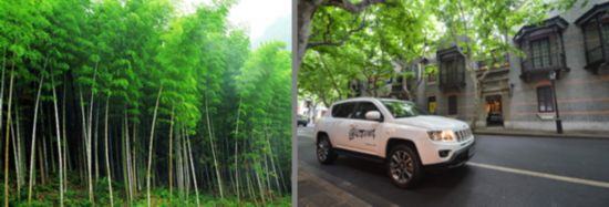 被譽為都市生態園、都市氧吧的城郊森林公園，是春季出行的好去處。不妨抽出時間，結三五好友，去野味十足的城郊吐故納新，也在大自然的原生態中，讓自己平日緊繃的神經松弛一下。