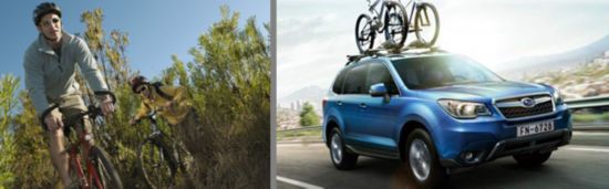 被譽為都市生態園、都市氧吧的城郊森林公園，是春季出行的好去處。不妨抽出時間，結三五好友，去野味十足的城郊吐故納新，也在大自然的原生態中，讓自己平日緊繃的神經松弛一下。