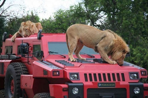 另類和平天使 天價防彈SUV/裝甲車/警車!