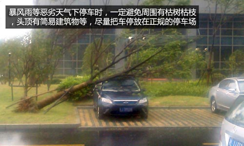 面對暴雨如何辦？ 雨季用車注意事項匯總