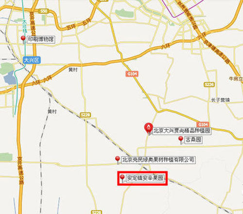 櫻桃紅了 探尋京郊櫻桃采摘好去處 櫻桃紅了 探尋京郊櫻桃采摘好去處