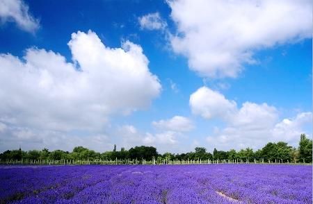 華夏大地5處令人心醉的美:廣西龍脊、新疆伊犁